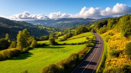 Obraz premium Serene Countryside Road with Soft Fog in a European Landscape at Dawn