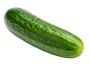 A single, ripe, green, elongated vegetable with a textured skin