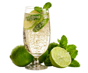 Chilled sparkling mojito cocktail with lime wedges and fresh mint leaves, a classic refreshing bubbly beverage in a tall glass with whole citrus fruit and green spearmint garnish