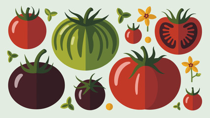 Set of assorted heirloom tomatoes in various shapes and colors like red green and purple stripes.