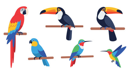 Obraz premium Set of colorful tropical birds sitting on branches including macaw parrot toucan and flying hummingbird.