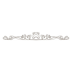 Obraz premium Creative floral swirls divider