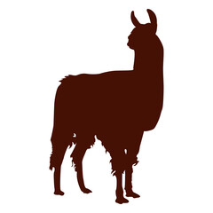 Obraz premium Llama silhouette