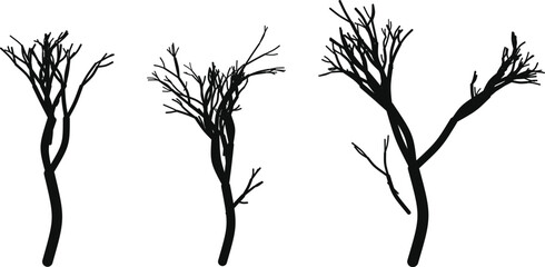 Three black bare tree silhouettes with sparse branches on white