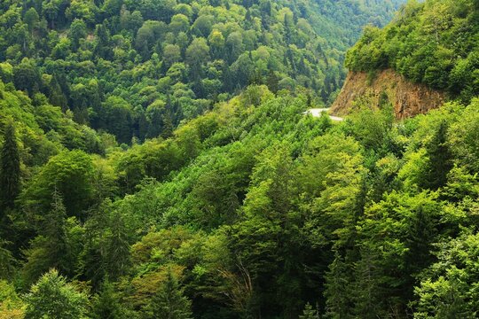A narrow road at the edge of the mountains, untouched and silent