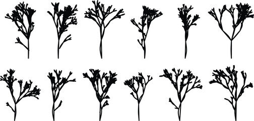 Black silhouette of ten different stylized branching plant stems