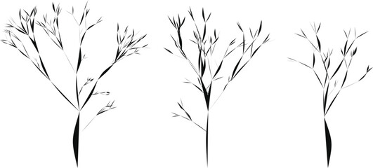 Three abstract black trees with thin branches on white background