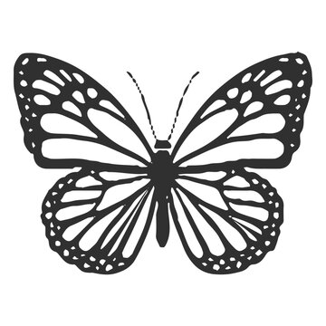 Monarch butterfly icon