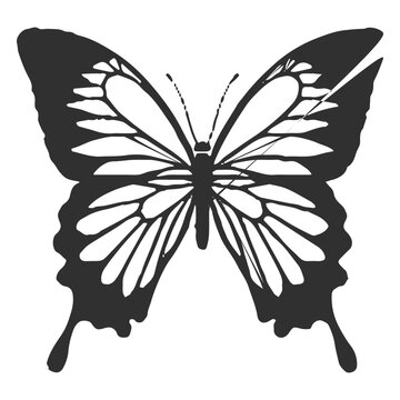 Papilio ulysses butterfly silhouette