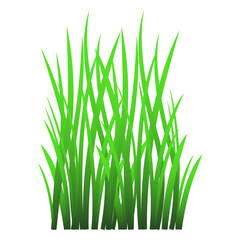 Fototapeta premium Grass leaves illustration
