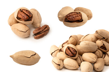 Obraz premium Pecan-nut in a shell isolated on white background. Top view.