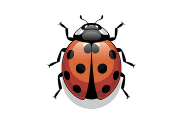 Fototapeta premium Cartoon ladybug with red shell and black spots
