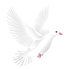 Obraz premium Pigeon wing tail beak illustration