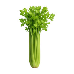 PNG Fresh green celery stalk