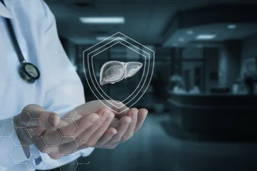 Fotobehang Natuur Park Hands aid liver health.  © natali_mis