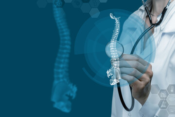 Human spine exploration.