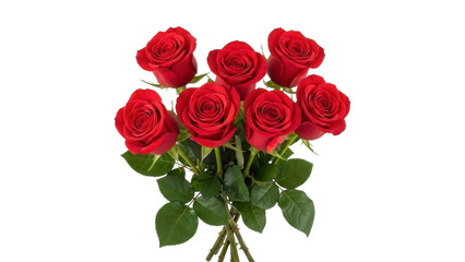 Fototapeta premium Bouquet of Seven Red Roses on a Transparent Background, PNG Image