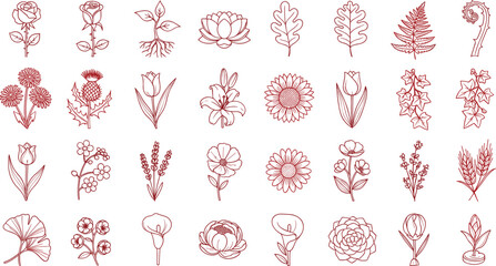 Botanical Floral Garden and Leaf Icon Set
