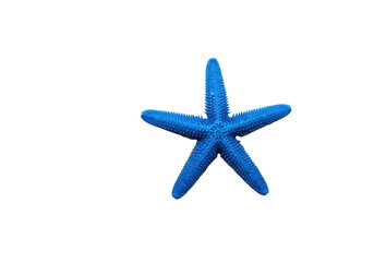 Obraz premium Vibrant cobalt blue starfish with granular texture on fine golden-brown sand, pristine transparent studio background, macro close-up, product photography, luxurious beach vacation atmosphere
