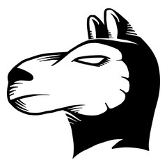 Obraz premium Llama head tattoo