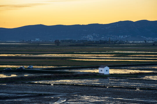 Albufera de Valencia