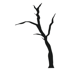Fototapeta premium Spooky bare tree silhouette