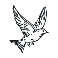 Obraz premium Beautiful hand-drawn bird with wings spread wide, gracefully soaring through the air, captured in a minimalist black and white sketch style.