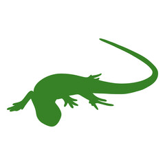 Obraz premium Lizard silhouette crawl pose