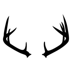 Obraz premium Whitetail deer antler silhouette