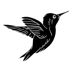 Obraz premium Realistic bird hummingbird flying black