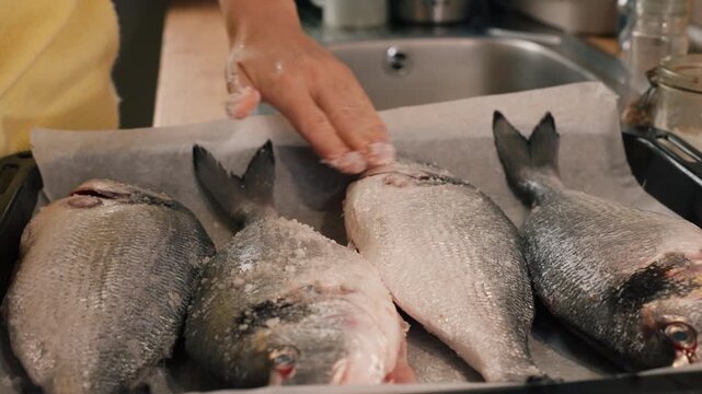 Woman hands rubbing coarse sea salt onto whole fresh gilt head sea bream on parchment lined baking tray, prepare mediterranean home cooked seafood dish.Clean food concept and balanced diet lifestyle.