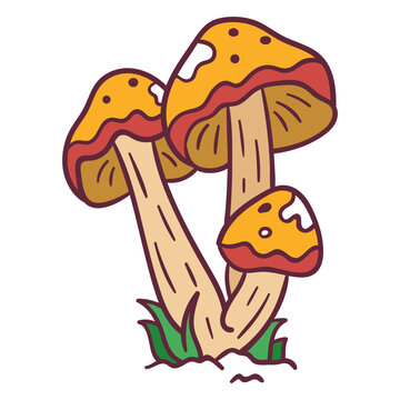 Mushroom amanita caesarea illustration