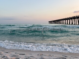 Hundreds Sea Gulls The Ocean