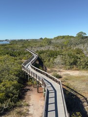 Obraz premium A wooden broadway through the Florida Mangroves, environmental friendly.