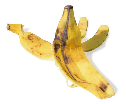 Casca de banana amaelra com sombra em fundo transparente, sem fundo, resto da fruta isolado