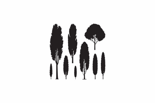 Natural Kauri tree vector silhouettes black image made by adobe illustrator.