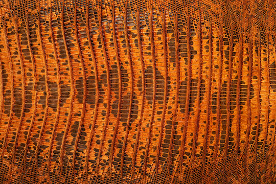 Beautiful brown lizard skin as background, top view. Luxury reptile leather.