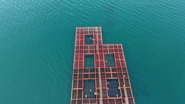 Mussel farm is visible in the clear water with structures placed in rows. Equipment for raising mussels and harvesting are present. Activity centers around shellfish farming.