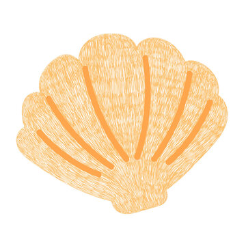 Seashell ocean hand drawn