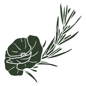 Flower decoration anzac day