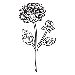 Round flower and bud stroke