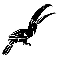 Fototapeta premium Toucan bird cut out