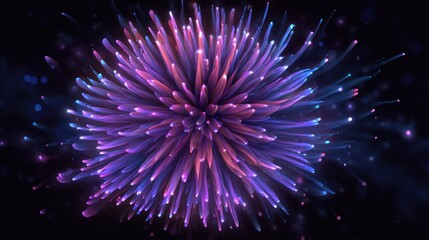 Abstract floral burst illustration with dynamic radial pattern against dark background