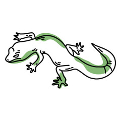 Fototapeta premium Color stroke semi colored lizard