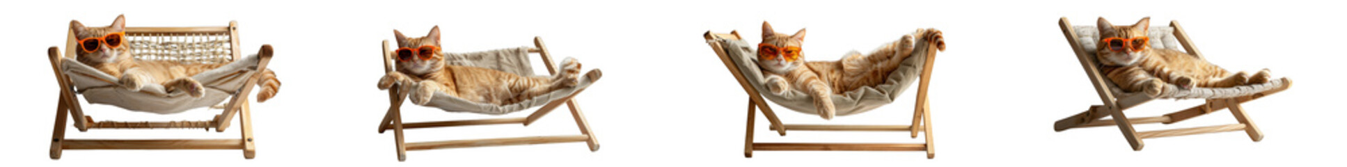 Four cats relaxing in hammocks isolated on transparent background