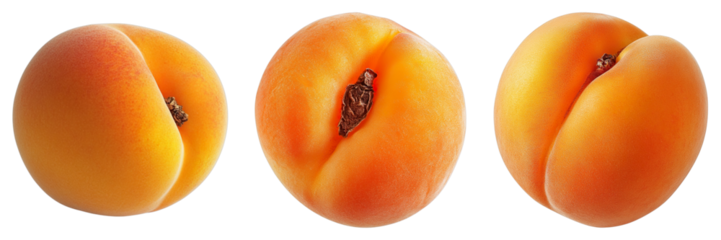 Three fresh, ripe apricots are showcased against a clear backdrop. Each fruit displays a beautiful gradient of colors, hinting at its deliciousness.