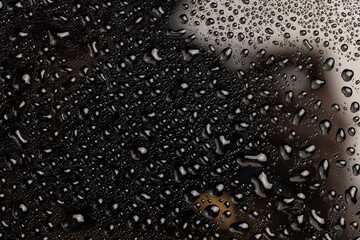 Fototapeta premium black shiny surface covered with water droplets of different sizes, black glass covered with a large number of water droplets