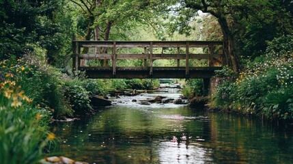 bridge over the river