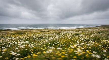 Wide coastal meadow filled with white and yellow wildflowers under overcast sky. Seaside landscape with blooming field near ocean waves. Natural serenity and spring nature concept.