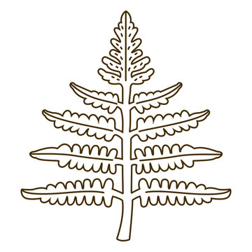 Fern leaves stroke design